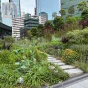 ヒメ日記 2025/05/25 11:36 投稿 麻生 MCロイヤル