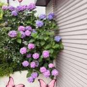 ヒメ日記 2025/06/23 16:56 投稿 麻生 MCロイヤル