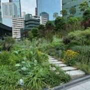 ヒメ日記 2025/08/05 11:36 投稿 麻生 MCロイヤル