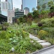 ヒメ日記 2025/08/19 10:36 投稿 麻生 MCロイヤル