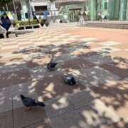 ヒメ日記 2025/09/08 14:06 投稿 麻生 MCロイヤル