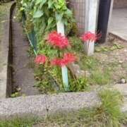 麻生 ✨4(土)のお礼✨ MCロイヤル