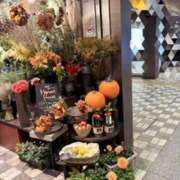 麻生 ✨20(月)のお礼✨ MCロイヤル