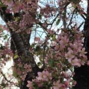 ヒメ日記 2025/01/17 09:16 投稿 岩崎あや 五十路マダム愛されたい熟女たち岡山店（カサブランカグループ）