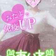 ヒメ日記 2024/12/05 12:46 投稿 あいね 静岡人妻なでしこ（カサブランカグループ)