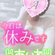 ヒメ日記 2024/12/13 12:08 投稿 あいね 静岡人妻なでしこ（カサブランカグループ)