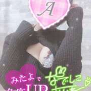 ヒメ日記 2024/12/17 07:46 投稿 あいね 静岡人妻なでしこ（カサブランカグループ)