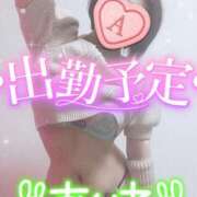 ヒメ日記 2024/12/24 21:30 投稿 あいね 静岡人妻なでしこ（カサブランカグループ)