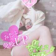 ヒメ日記 2025/01/17 06:32 投稿 あいね 静岡人妻なでしこ（カサブランカグループ)