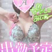 ヒメ日記 2025/01/17 08:56 投稿 あいね 静岡人妻なでしこ（カサブランカグループ)