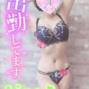 ヒメ日記 2025/01/19 14:34 投稿 あいね 静岡人妻なでしこ（カサブランカグループ)