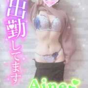 ヒメ日記 2025/01/22 11:32 投稿 あいね 静岡人妻なでしこ（カサブランカグループ)