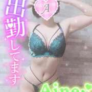 ヒメ日記 2025/01/23 11:28 投稿 あいね 静岡人妻なでしこ（カサブランカグループ)