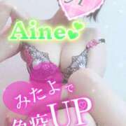 ヒメ日記 2025/01/25 07:16 投稿 あいね 静岡人妻なでしこ（カサブランカグループ)