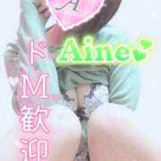 ヒメ日記 2025/01/25 14:46 投稿 あいね 静岡人妻なでしこ（カサブランカグループ)