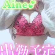 ヒメ日記 2025/01/25 18:22 投稿 あいね 静岡人妻なでしこ（カサブランカグループ)