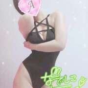 ヒメ日記 2025/01/26 09:46 投稿 あいね 静岡人妻なでしこ（カサブランカグループ)