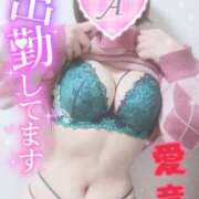 ヒメ日記 2025/01/27 11:24 投稿 あいね 静岡人妻なでしこ（カサブランカグループ)