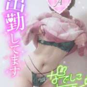 ヒメ日記 2025/02/03 11:46 投稿 あいね 静岡人妻なでしこ（カサブランカグループ)