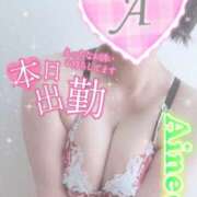 ヒメ日記 2025/02/05 07:46 投稿 あいね 静岡人妻なでしこ（カサブランカグループ)