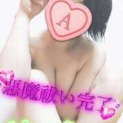 ヒメ日記 2025/02/08 09:18 投稿 あいね 静岡人妻なでしこ（カサブランカグループ)