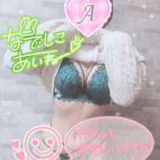 ヒメ日記 2025/02/08 11:16 投稿 あいね 静岡人妻なでしこ（カサブランカグループ)