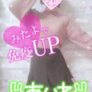 ヒメ日記 2025/02/09 07:32 投稿 あいね 静岡人妻なでしこ（カサブランカグループ)