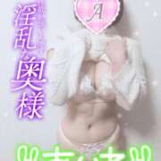 ヒメ日記 2025/02/12 09:26 投稿 あいね 静岡人妻なでしこ（カサブランカグループ)