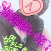 ヒメ日記 2025/02/13 08:56 投稿 あいね 静岡人妻なでしこ（カサブランカグループ)