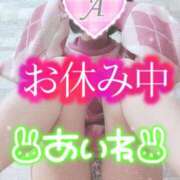 ヒメ日記 2025/02/13 09:16 投稿 あいね 静岡人妻なでしこ（カサブランカグループ)