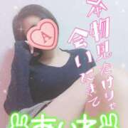 ヒメ日記 2025/02/13 15:16 投稿 あいね 静岡人妻なでしこ（カサブランカグループ)