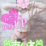 ヒメ日記 2025/02/14 12:18 投稿 あいね 静岡人妻なでしこ（カサブランカグループ)