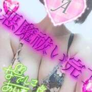 ヒメ日記 2025/02/15 11:16 投稿 あいね 静岡人妻なでしこ（カサブランカグループ)