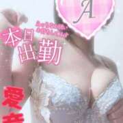 ヒメ日記 2025/03/01 09:46 投稿 あいね 静岡人妻なでしこ（カサブランカグループ)