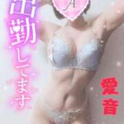 ヒメ日記 2025/03/02 12:14 投稿 あいね 静岡人妻なでしこ（カサブランカグループ)