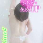 ヒメ日記 2025/03/05 08:30 投稿 あいね 静岡人妻なでしこ（カサブランカグループ)