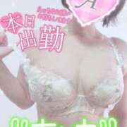 ヒメ日記 2025/03/05 09:16 投稿 あいね 静岡人妻なでしこ（カサブランカグループ)