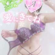 ヒメ日記 2025/03/05 15:40 投稿 あいね 静岡人妻なでしこ（カサブランカグループ)