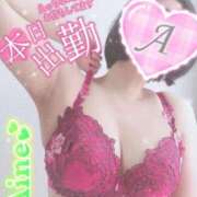 ヒメ日記 2025/03/06 09:16 投稿 あいね 静岡人妻なでしこ（カサブランカグループ)