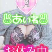 ヒメ日記 2025/03/13 11:32 投稿 あいね 静岡人妻なでしこ（カサブランカグループ)