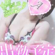 ヒメ日記 2025/03/13 18:16 投稿 あいね 静岡人妻なでしこ（カサブランカグループ)