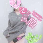 ヒメ日記 2025/03/15 09:46 投稿 あいね 静岡人妻なでしこ（カサブランカグループ)