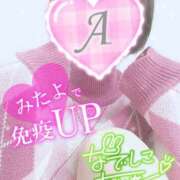 ヒメ日記 2025/03/18 09:30 投稿 あいね 静岡人妻なでしこ（カサブランカグループ)