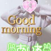 ヒメ日記 2025/03/20 07:46 投稿 あいね 静岡人妻なでしこ（カサブランカグループ)