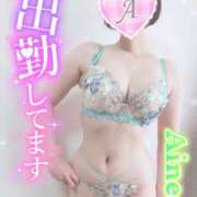 ヒメ日記 2025/03/20 12:02 投稿 あいね 静岡人妻なでしこ（カサブランカグループ)