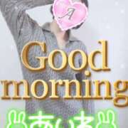 ヒメ日記 2025/03/21 07:16 投稿 あいね 静岡人妻なでしこ（カサブランカグループ)