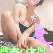 ヒメ日記 2025/03/26 14:02 投稿 あいね 静岡人妻なでしこ（カサブランカグループ)