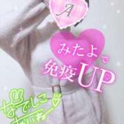 ヒメ日記 2025/04/01 08:00 投稿 あいね 静岡人妻なでしこ（カサブランカグループ)