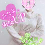 ヒメ日記 2025/04/02 09:16 投稿 あいね 静岡人妻なでしこ（カサブランカグループ)