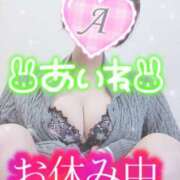 ヒメ日記 2025/04/02 10:08 投稿 あいね 静岡人妻なでしこ（カサブランカグループ)